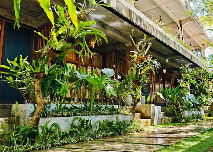 Gasthuis Baruna Frangipani